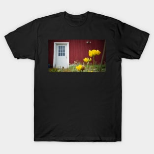 White Door on Red Building T-Shirt